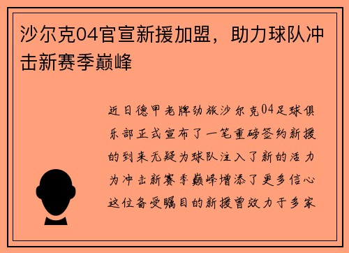 沙尔克04官宣新援加盟，助力球队冲击新赛季巅峰